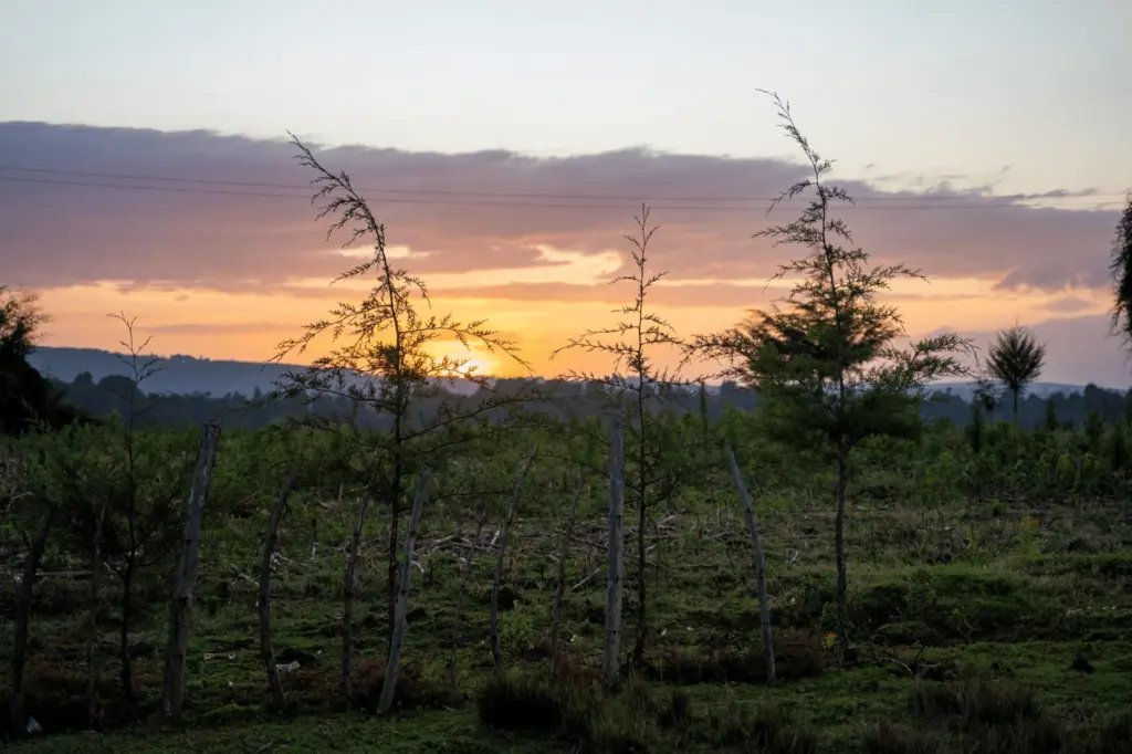 Abendstimmung im Hochland